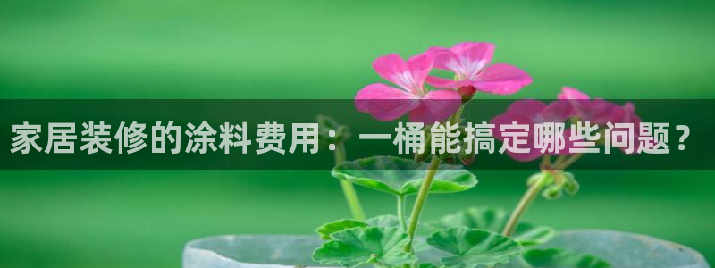 上海和记餐饮有限公司：家居装修的涂料费用：一桶能搞定哪些问题？