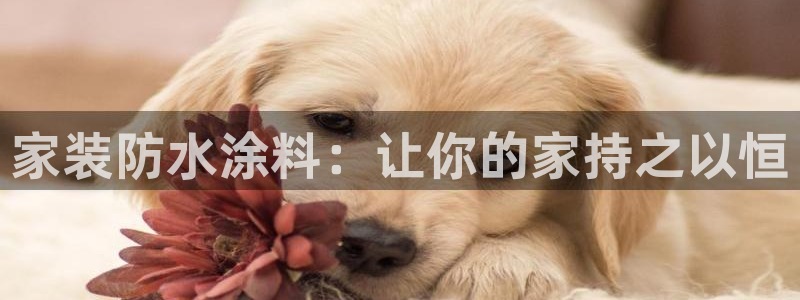 和记国际听：家装防水涂料：让你的家持之以恒