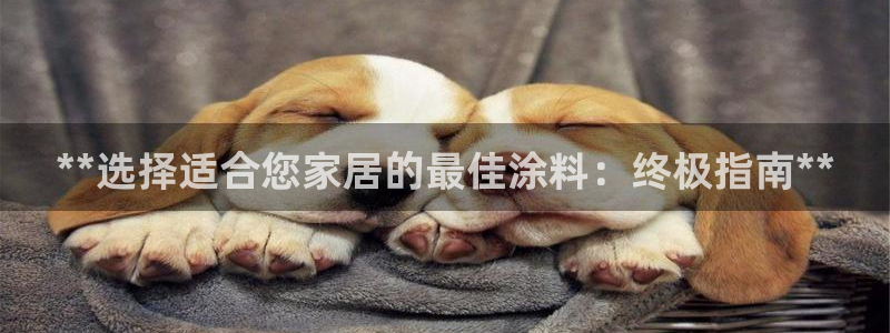 和记app官网登录：**选择适合您家居的最佳涂料：终极指南**