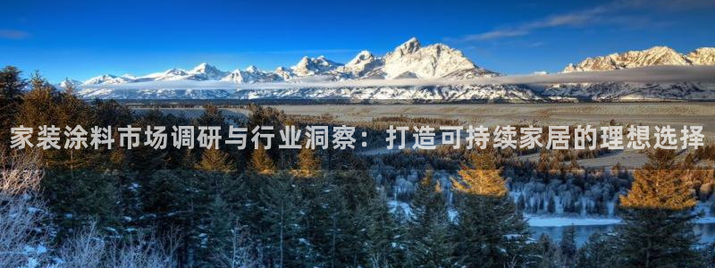 和记官方直营注册：家装涂料市场调研与行业洞察：打造可持续家居的理想选择