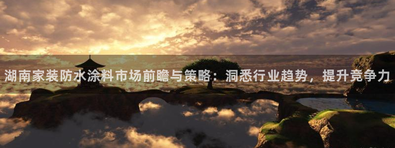 和记ag旗舰国际：湖南家装防水涂料市场前瞻与策略：洞悉行业趋势，提升竞争力