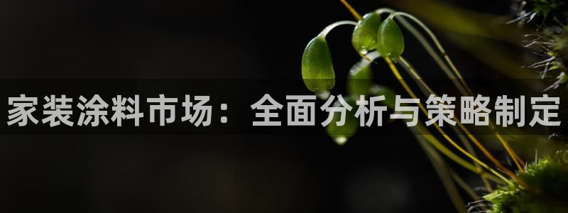 和记pc：家装涂料市场：全面分析与策略制定