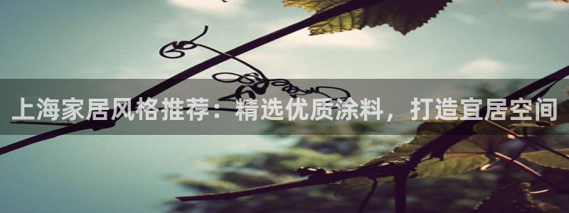和记 官网：上海家居风格推荐：精选优质涂料，打造宜居空间