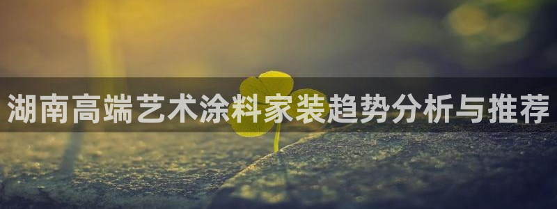 和记网页版：湖南高端艺术涂料家装趋势分析与推荐