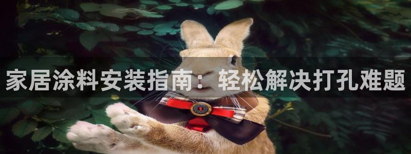 和记电业集团：家居涂料安装指南：轻松解决打孔难题