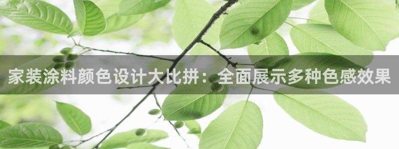 和记app官网登录：家装涂料颜色设计大比拼：全面展示多种色感效果