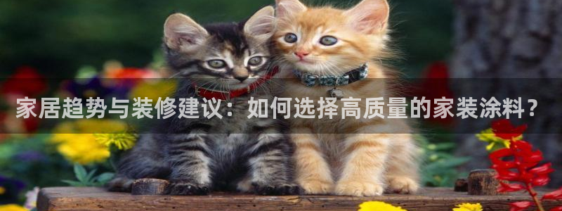 和记官网官方网站