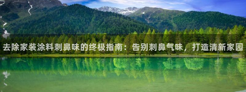 和记平台注册：去除家装涂料刺鼻味的终极指南：告别刺鼻气味，打造清新家园