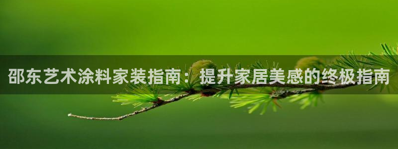 和记(福建)商贸有限公司：邵东艺术涂料家装指南：提升家居美感的终极指南