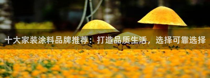 和记国际客服：十大家装涂料品牌推荐：打造品质生活，选择可靠选