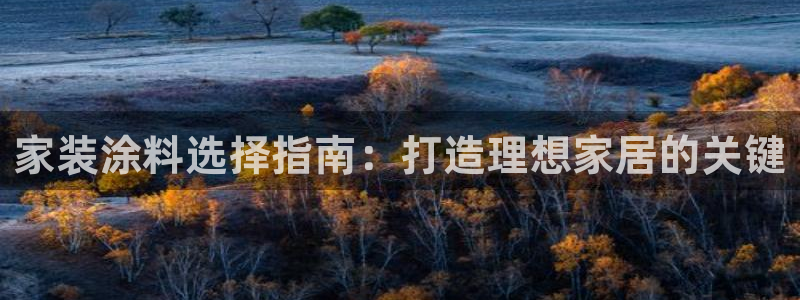 官方和记国际平台登录：家装涂料选择指南：打造理想家居的关键