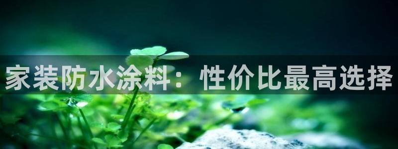 和记(福建)商贸有限公司招聘：家装防水涂料：性价比最高选择