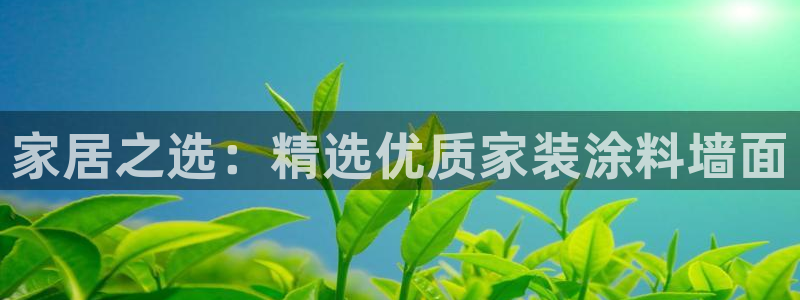 和记官方网址：家居之选：精选优质家装涂料墙面