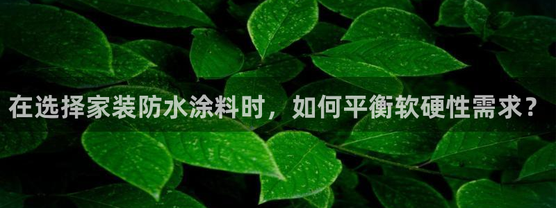 和记ag登录：在选择家装防水涂料时，如何平衡软硬性需求？