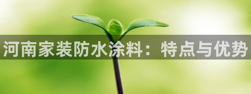 和记paging：河南家装防水涂料：特点与优势