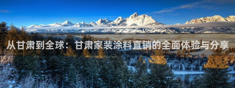 和记娱好网址：从甘肃到全球：甘肃家装涂料直销的全面体验与分享