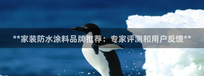和记 官网：**家装防水涂料品牌推荐：专家评测和用户反馈**